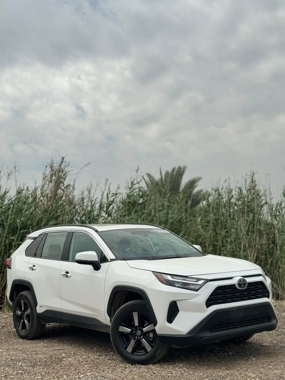 راف4 هايبرد • ٢٠٢٥ • رقم بغداد