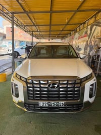 باليسايد • ٢٠٢٣ • رقم اربيل