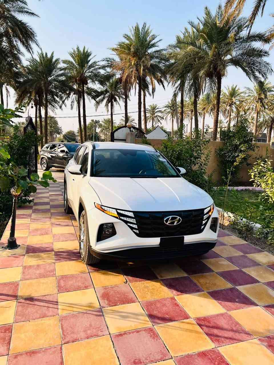 للبيع  توسان 2024 وارد امريكي
سياره كلين بدون صبغ بدون تبديل كفاله
ليبل واحد 

سياره فول عد فتحه 
كشن كهرباء 
سايد بريك كهرباء

توقف ذاتي 
رادار خلفي ومامي
بدون رقم 

مكان سياره حله 
ماشيه 55

الاستفسار ع رقم ***********
