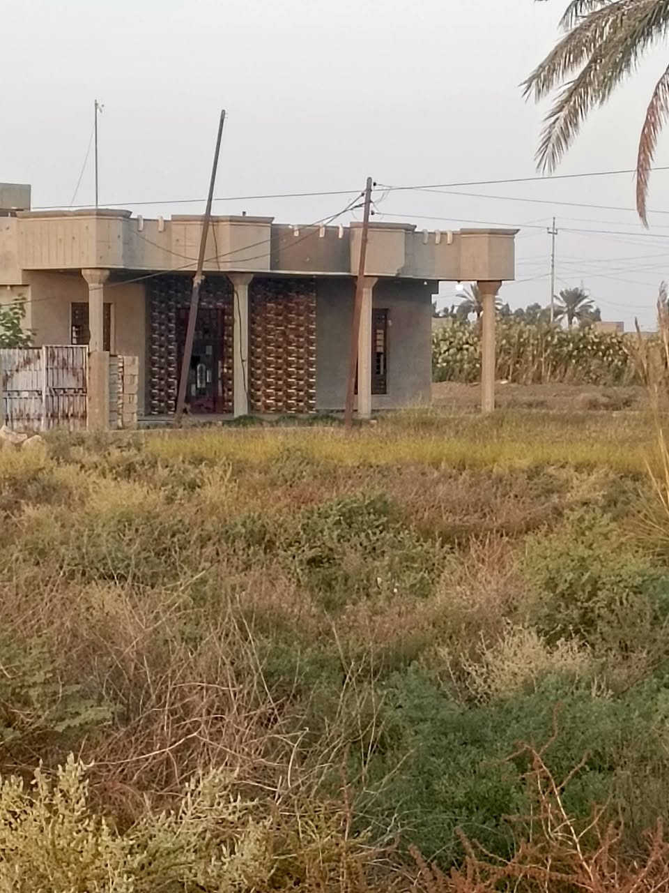 الرمادي جزيره البعيثه • ١٢٥٠م • سند ٢٥