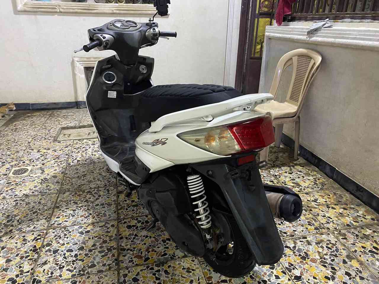 سكنس فحل • نضيفه • بلاديه