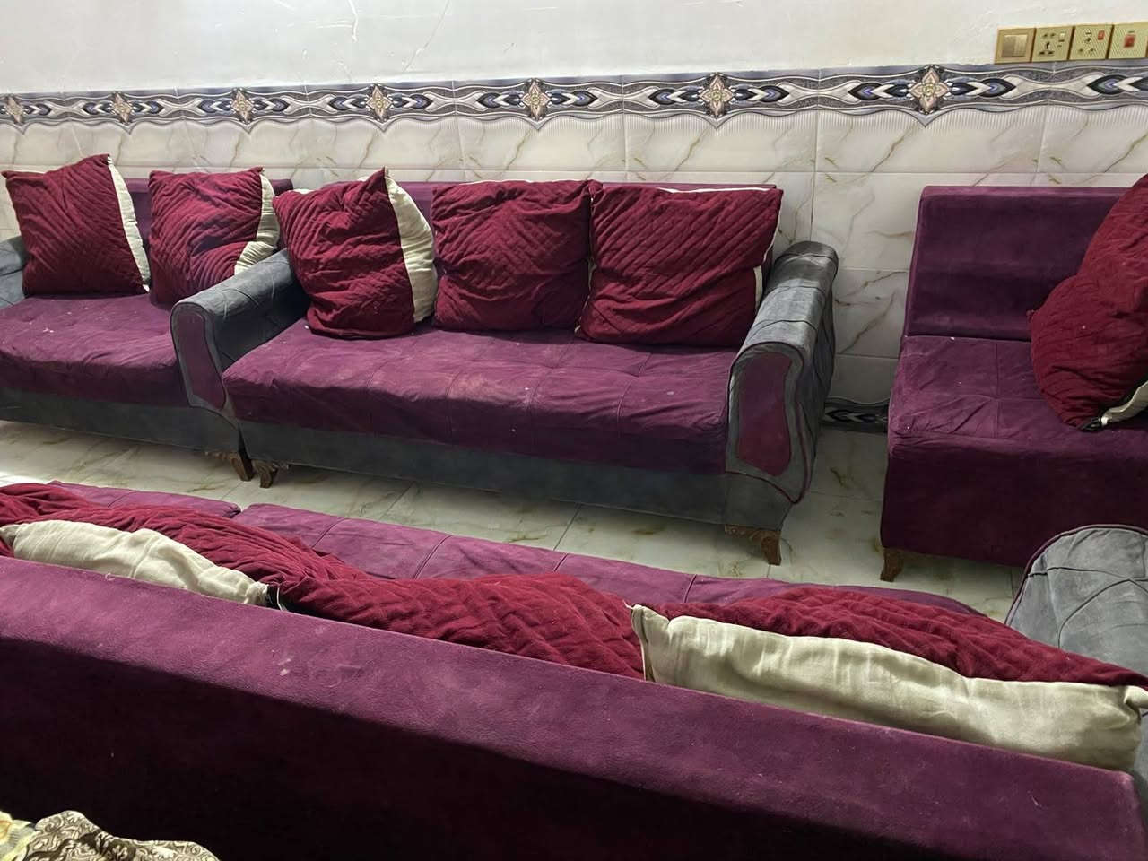 تخم ديوان للبيع 5 قطع 10 نفرات سعره 140 مكانه نجف حي ميسان مقابيل العسكري *********** بيه وتساب النجف, العراق

