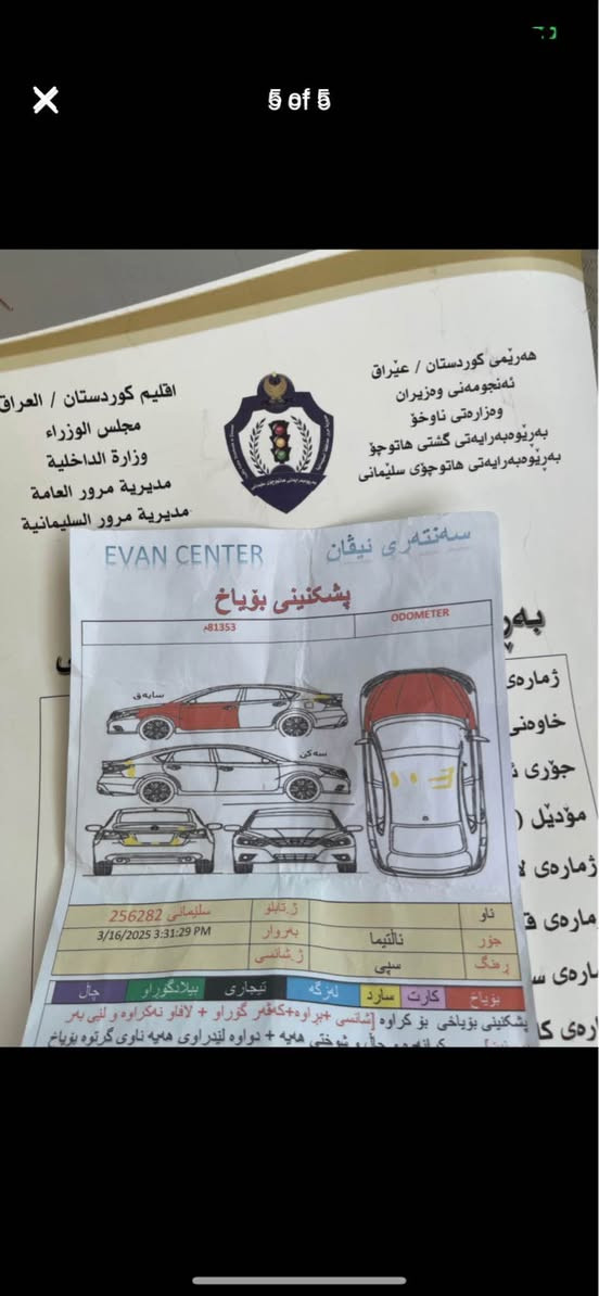 نیسان ئەڵتیما سپی سەدەف ناوزەرد پێشی کەپسە ڕەسمی سۆنەریم داناوە داوای  بۆ پەیوەندی *********** السليمانية, العراق
