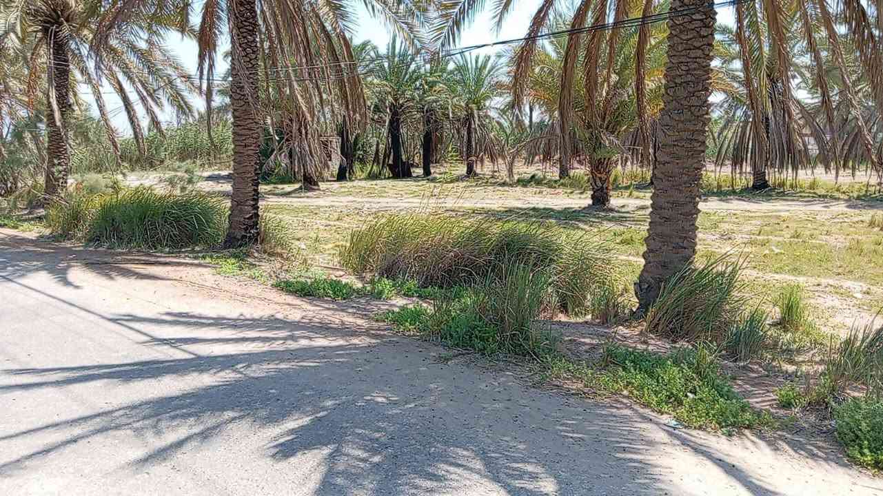 قطعة ارض للبيع ١٥٠٠ متر (طابو زراعي) محاطة بشارعين تبليط الشارع عرضه ٩ متر القطعة متوفر فيها كافة الخدمات كهرباء وماء اسالة وماء سقي، القطعة قريبة على الشارع العام جدا، القطعة تصلح لأي شي سكن او حسينية او مخازن .
مكان القطعة شارع بغداد كربلاء عامود ٦٦٣
للاستفسار ***********
قطعة ارض للبيع ١٥٠٠ متر (طابو زراعي) محاطة بشارعين تبليط الشارع عرضه ٩ متر القطعة متوفر فيها كافة الخدمات كهرباء وماء اسالة وماء سقي، القطعة قريبة على الشارع العام جدا، القطعة تصلح لأي شي سكن او حسينية او مخازن .
