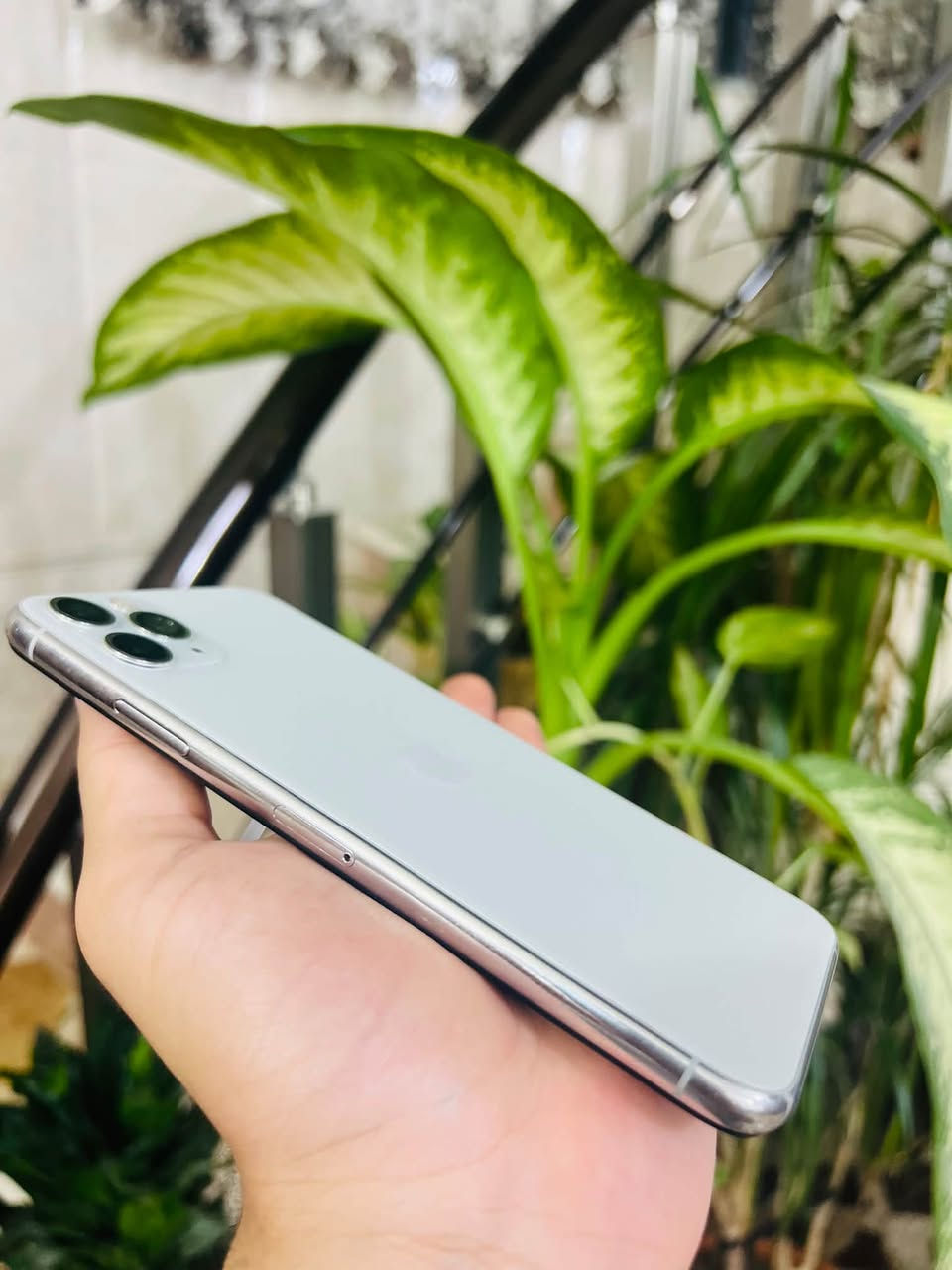 ايفون 11برو ماكس ابيض ✨
مستبدل شاشه+بطاريه فول شرط☄️
ذاكره 64✨نضافه 98‎%‎شرط الاستخدام 
انسب سعر بكل السوك شرط بسعر ال 11عادي المفتوح🔥🔥☄️اتصال(***********)

نص مكتوب في الصور:
- ٦:٢٩
- الملاحظات
- لا توجد ملاحظات
- بحث