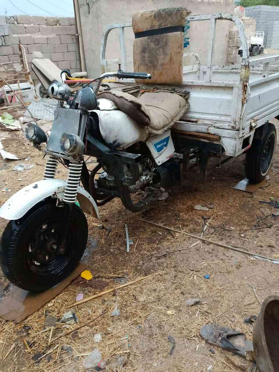 ستوته • شطره • مكفولة عشاير