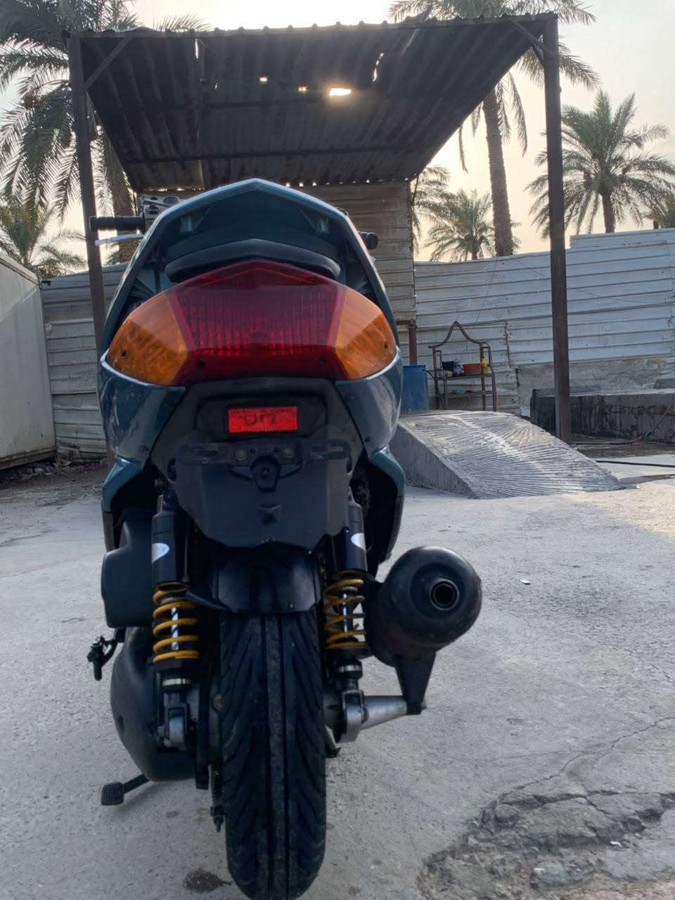 سكنس فحل • نضيفه • معدل