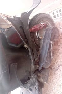 عصفوريه • زينون • كابريتير جديد