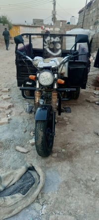 ستوته • ٢٠١٠ • شاصي مكفول