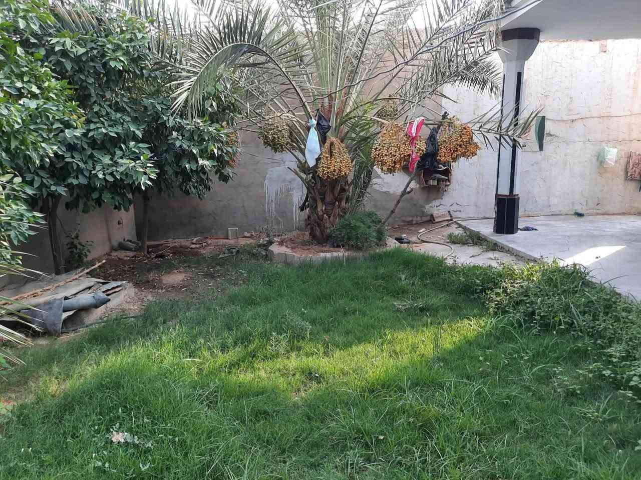 ‎قريت صخر البيت يتكون من ٣ قرف +ستقبال+صالة +مطبخ  لمساحة الكلية ٣٨٠+حديقة‎

***********
