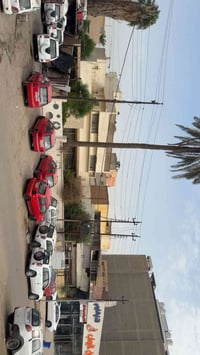 قسط • كيوكيو باندا تيكو • حي الجامعة