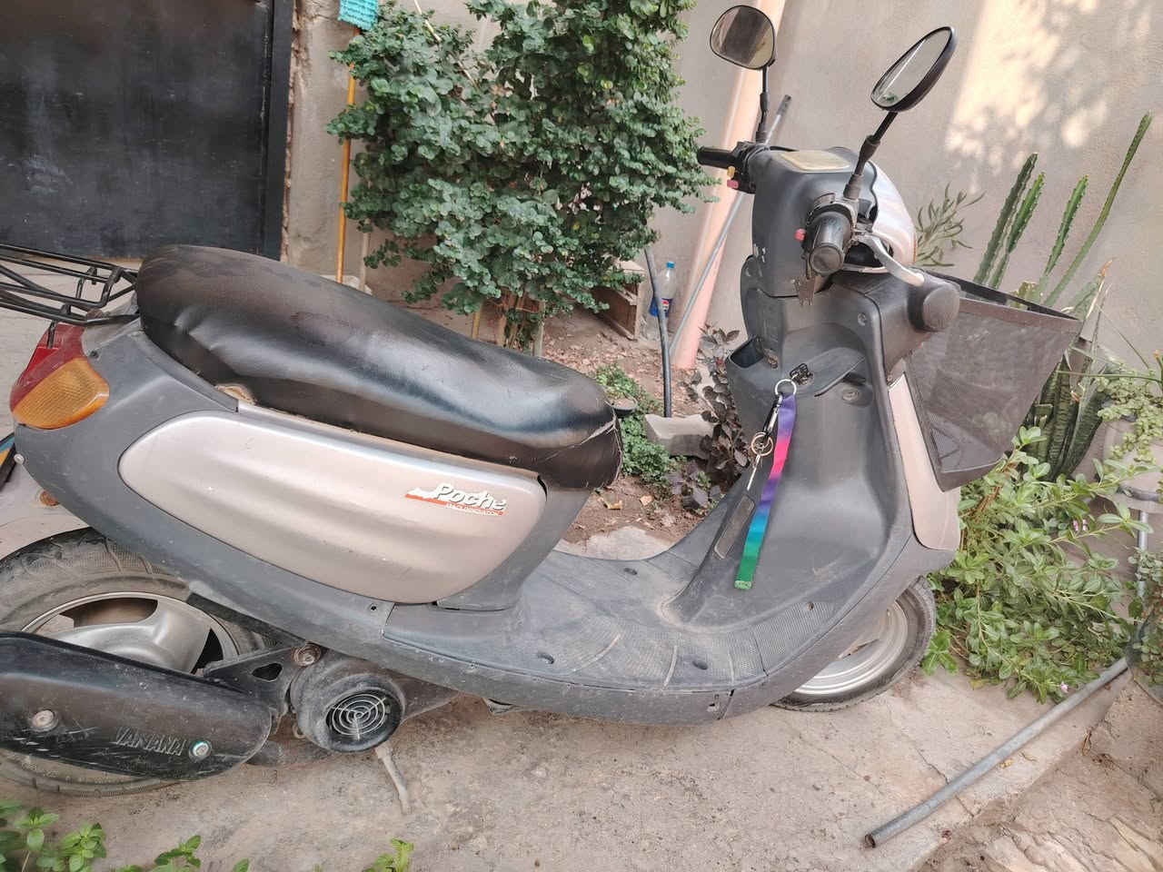 دراجه بلاديه • سلف • صوت بالاكسل