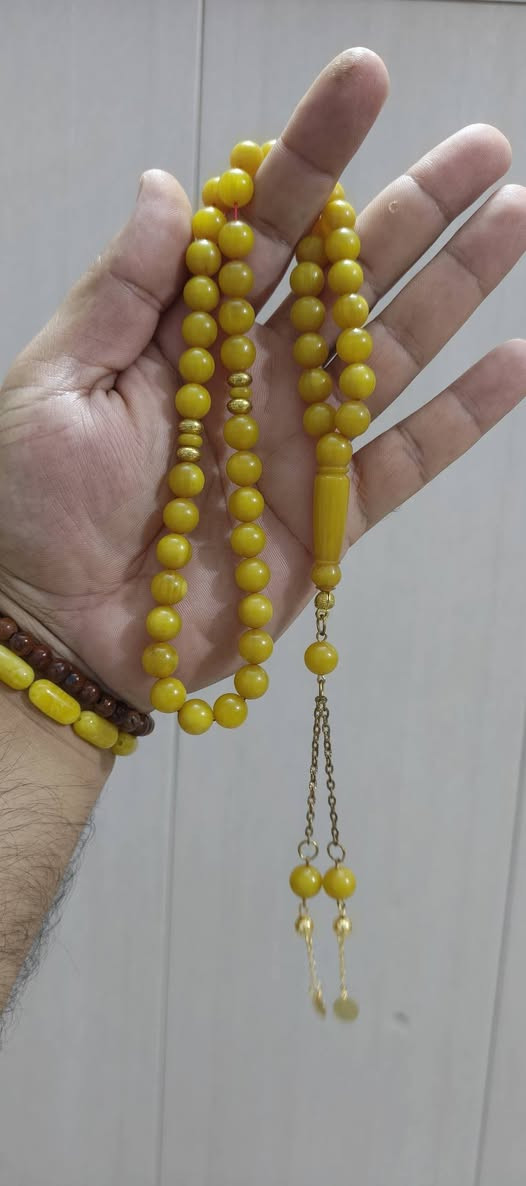 سندلوس • عظم • أسعار مناسبة