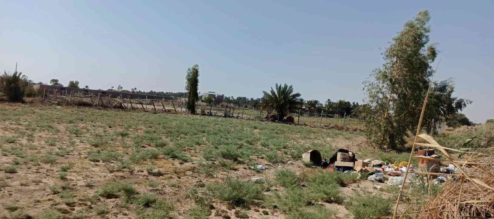 مزرعه للبيع مساحته دونم و 200 متر و بيها بيتين جاهزات مساحة البيت الاول250 متر والثاني مشتمل 100متر على  طريق ديوانيه دغارة نزلة الغنانيم  قبل لا تعبر بانزين خانه ع اليمنى شارع سبيس كافة الخدمات ماي و كهرباء
مزرعه للبيع مساحته دونم و 200 متر و بيها بيتين جاهزات مساحة البيت الاول250 متر والثاني مشتمل 100متر على  طريق ديوانيه دغارة نزلة الغنانيم  قبل لا تعبر بانزين خانه ع اليمنى شارع سبيس كافة الخدمات ماي و كهرباء ***********

مزرعه للبيع مساحته دونم و 200 متر و بيها بيتين جاهزات مساحة البيت الاول250 متر والثاني مشتمل 100متر على  طريق ديوانيه دغارة نزلة الغنانيم  قبل لا تعبر بانزين خانه ع اليمنى شارع سبيس كافة الخدمات ماي و كهرباء
