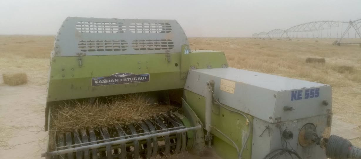 كابسه • نظيفه • بحر النجف