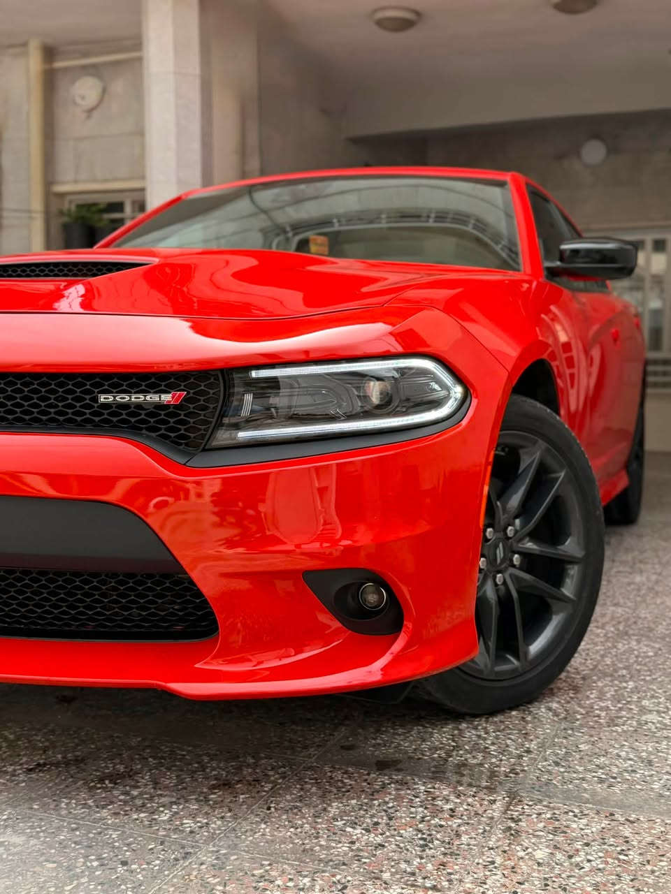 جارجر GT Plus 2023 وارد كندا
Dodge Charger GT Plus 2023

السيارة بدون ارقام 

السيارة فول مواصفات اعلى اصدار 6 سلندر

السيارة 4 ويل 

السعر 19800

صبغ السيارة جاملغ امامي و بنيد وبداية اللغد الايمن 

و بيهة صبغ من كندا باب خلف السايق وكلير جاملغ خلفي وباب السايق وتم ازالته 100‎%‎

ابيعلك 3 قطع صبغ و شبر من اللغد 

عداد السيارة 19 الف ميل فقط

السيارة نظيفة جدا 

سلايد ( فتحة سقف)

بصمة تشغيل عن بعد 

* محرك: V6 سعة 3.6 لتر

* عداد السيارة 19000 mi

* القوة:  300 حصان  

* العزم:  358 نيوتن متر  

* ناقل الحركة: أوتوماتيك 8 سرعات

* الدفع: خلفي (RWD) و رباعي (AWD)

* التسارع 0-100 كم/س: تقريباً 6.5 – 7 ثواني  

* عدد المقاعد: 5

* المقاعد جلد وكنتارة (Leather seats)

* تبريد وتدفئة للمقاعد الأمامية

* تدفئة الدركسون

* نظام صوتي Alpine 

* شاشة 8.4 إنش مع:

    * Apple CarPlay

    * Android Auto  

* تشغيل عن بعد + دخول ذكي

* مثبت سرعة متكيف (Adaptive Cruise Control)

* تحذير تصادم أمامي + فرملة طوارئ

* نظام المحافظة على المسار

* حساسات + كاميرا خلفي

* تحذير مغادرة المسار

* توقف طوارئ تلقائية

* مثبت سرعة ذكي

* حساسات اصطفاف

* وسائد هوائية متعددة

مكان السيارة بغداد زيونة 

***********

