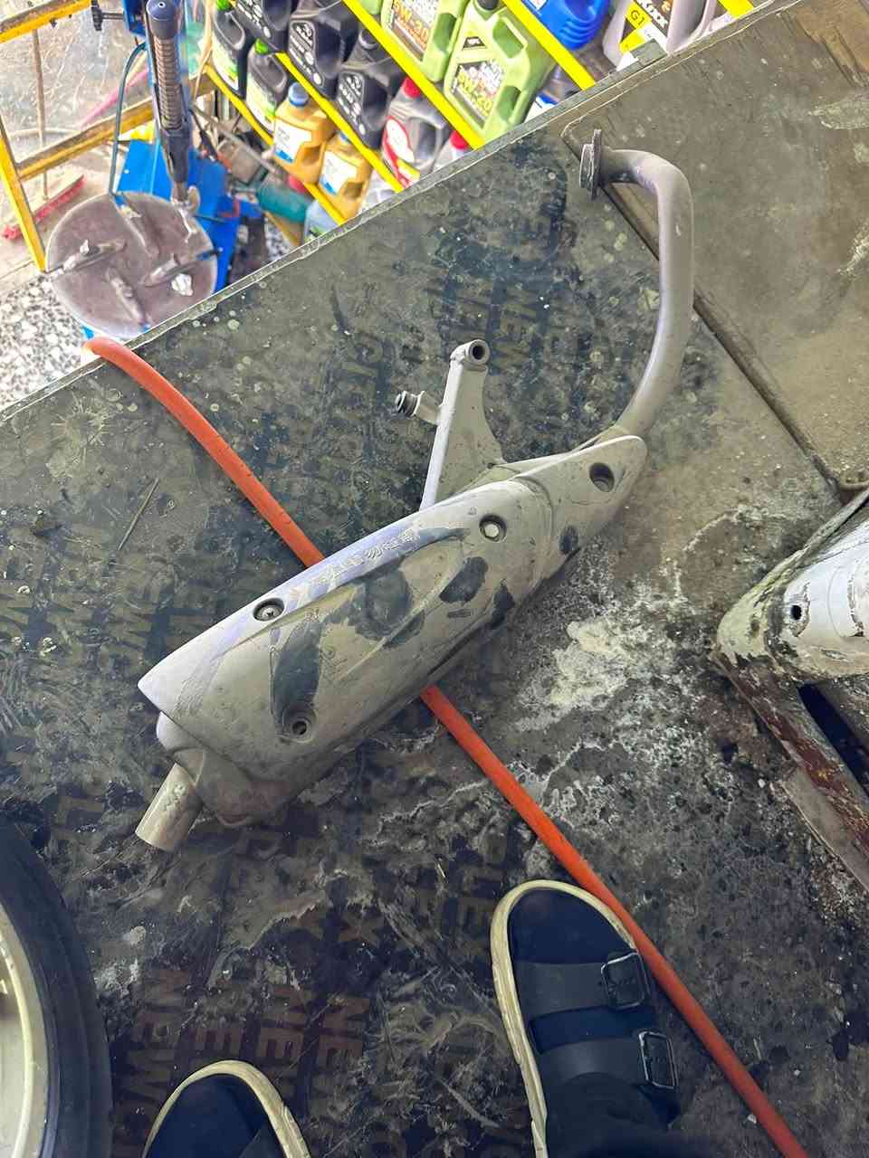 للبيع كلمن ***********
