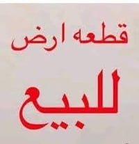 ٦ دوانم • طابو زراعي • كوفه براكيه