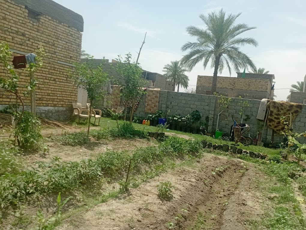 يا الله سلام عليكم 420متر ملك صرف زراعي حق التصرف موقع أثار بابل حي المرتضى شار الصيدلي للبيع موقع مميز كافت الخدمات متوفره سعر 145 يتوفر أرض 2دونم واجهه شط وجهه جدول بابل مكان هدوء موقع مميز ترفيهي سعر 240مليون الي يحب يتواصل رقم الهاتف ***********  يتوفر قطع اراضي نصف دونم حلة, بابل
