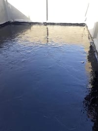 زفت درجه اولى • مجاناً للعوائل • واتساب