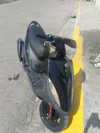ماكس عدلة • بوشة 49 • مكفولة