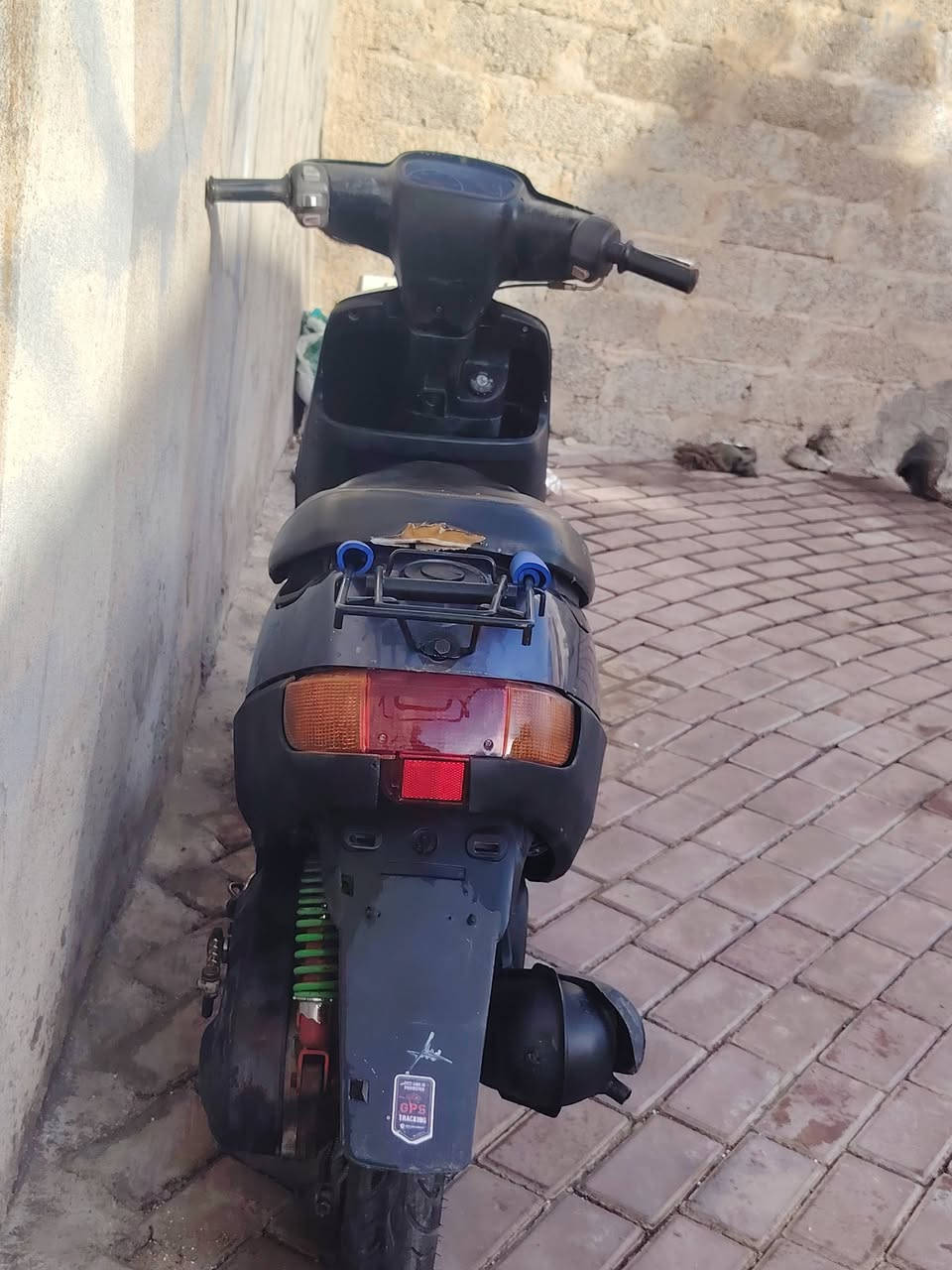 بوتين • معمر • نضيف