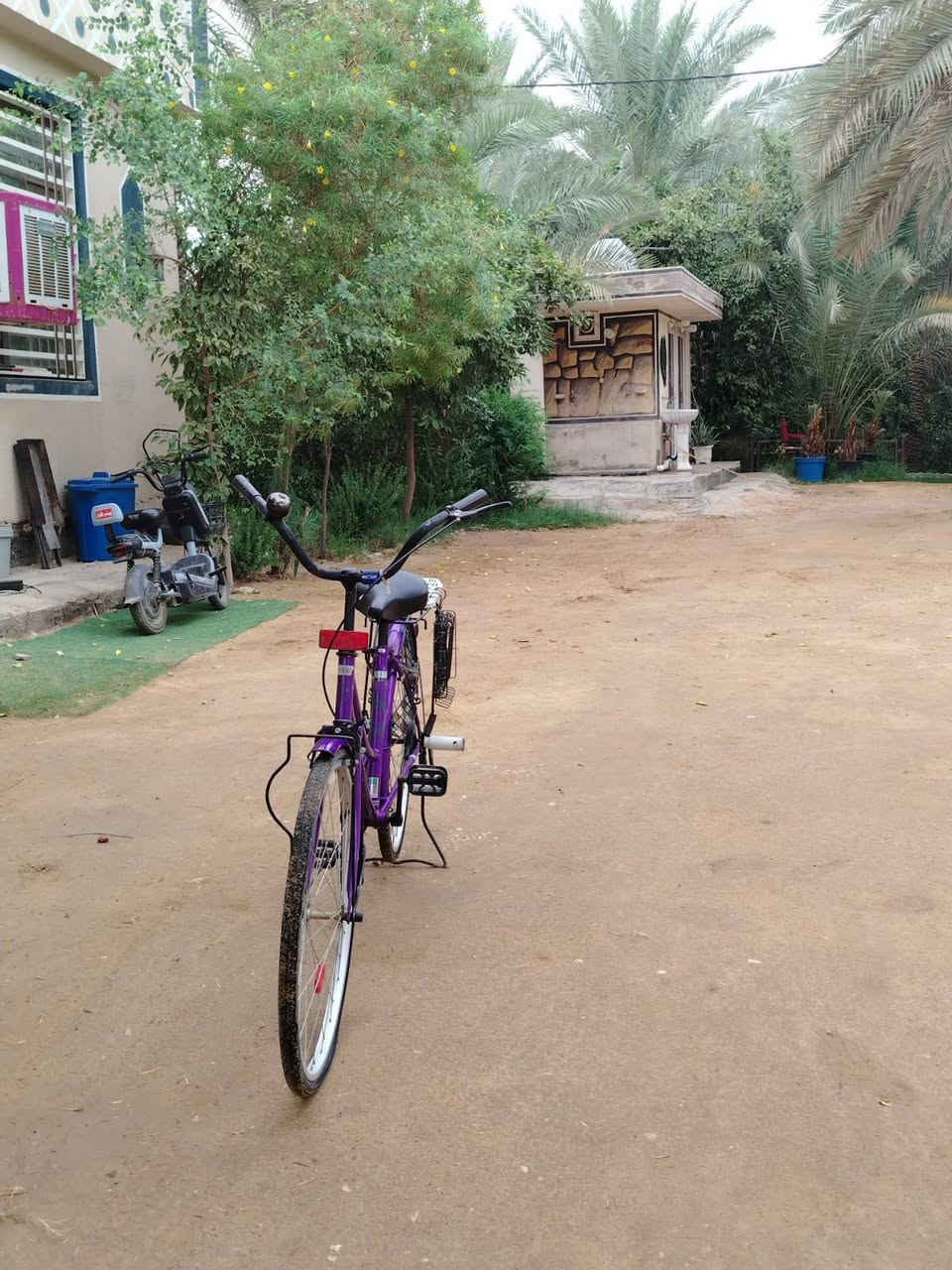 بايسكل • حجم ٢٦ • بنفسجي