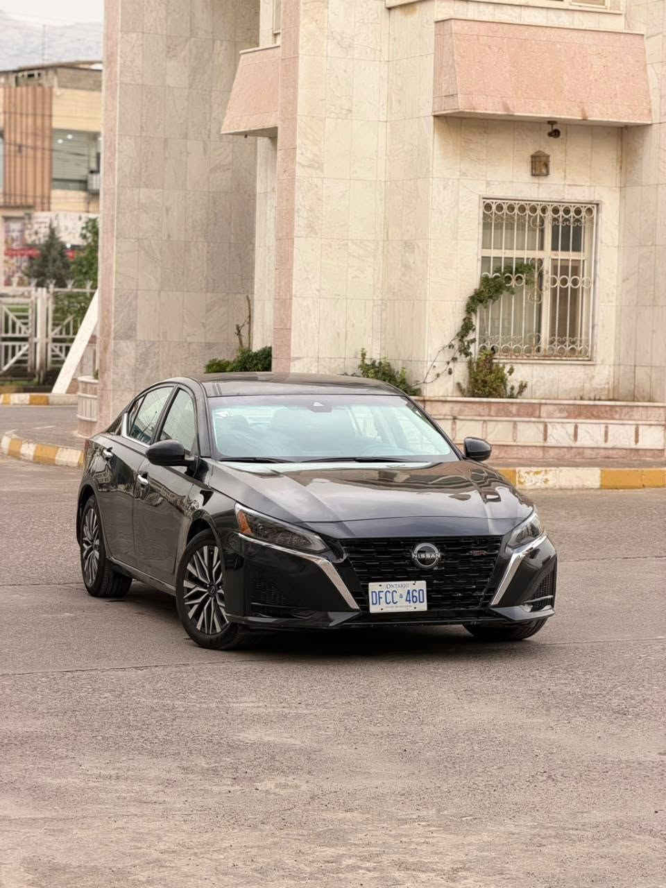 التيما • صبغ عام • دهوك