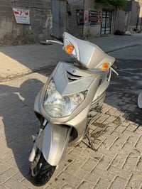 سكنس فحل • ياباني • مكفولة