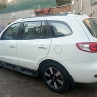 سنتافيا • ٢٠٠٩ • بدون صبغ