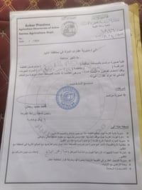 ٣٤٠ دونم • غرب سور بغداد • ٤ بيار