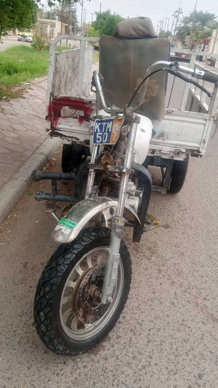 ستوته • قديمة • سنوية
