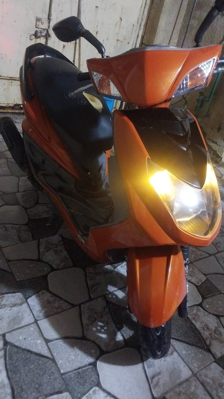 سكنس فحل • مملعوب • شغالة
