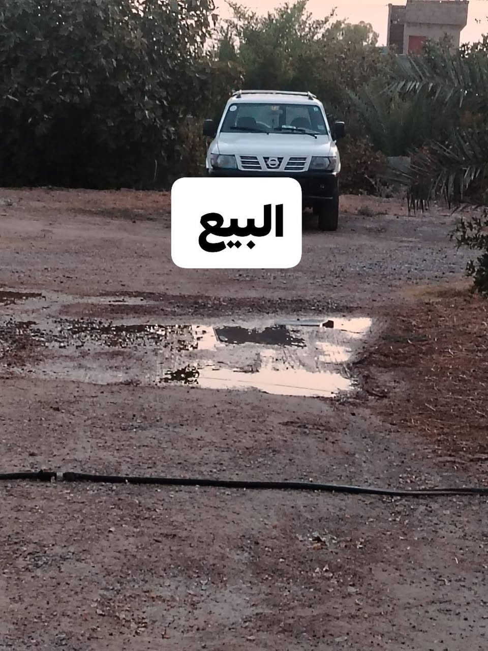السلام عليكم بترول نيسان البيع الرقم *********** الاستفسار السعر دفتر و 10 و بي مجال

