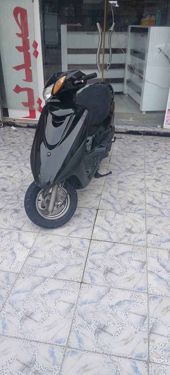 بغبغاء • مجفته • جاهزه