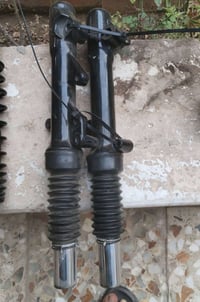 سكنس فحل • دبلات • عل شد