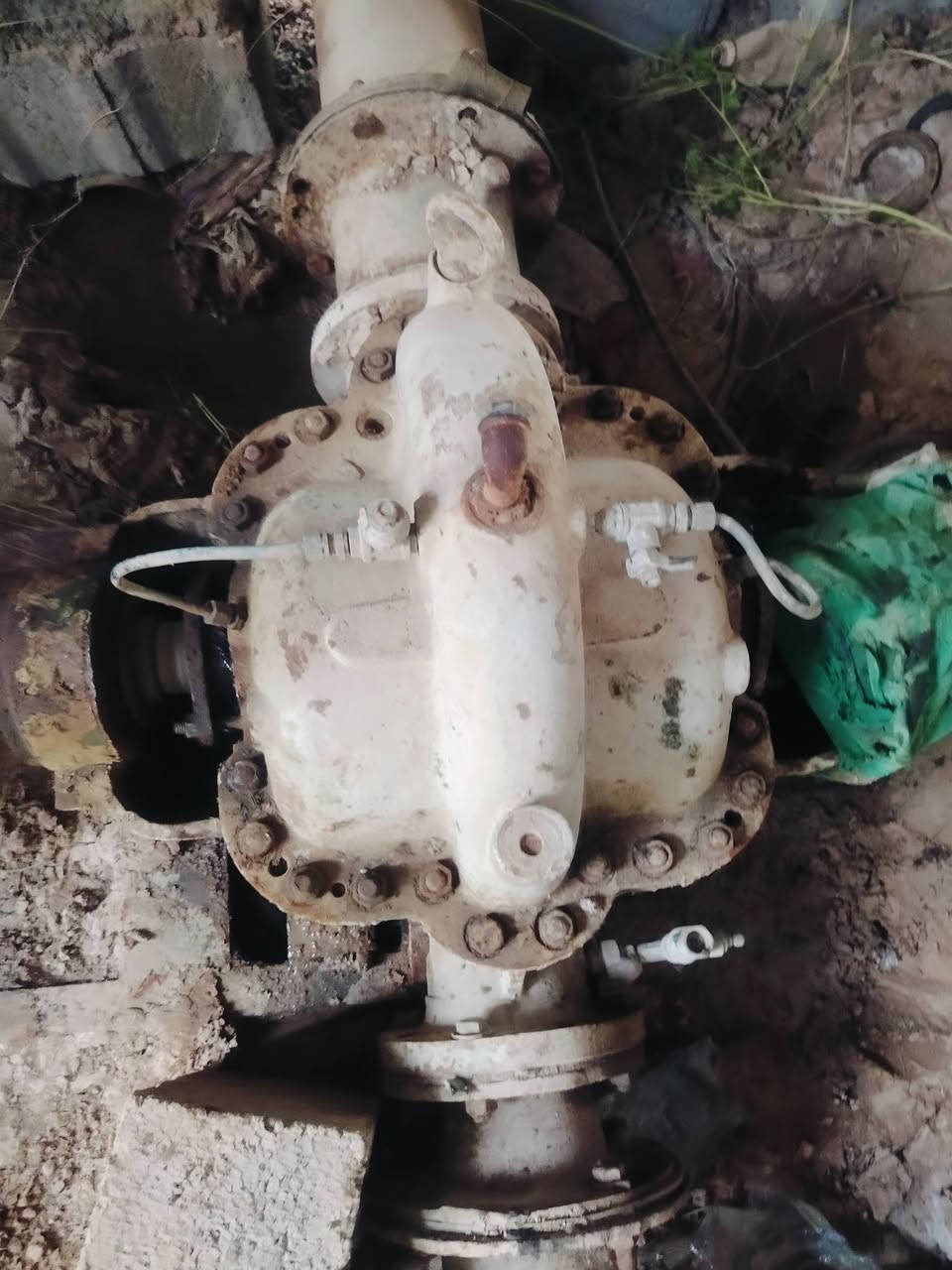 خنازير وحده يرانيه وثانيه هولنديه ام القمبوره للبيع
الايرانيه 8في 6 هيت 31 انطيها ع شغل مستعمله شهرين فقط بعدها جديده
والهولنديه هيت 30 نضيفه حيل هم انطيها ع شغل 
المكان ديالى ع أطراف الخالص اي ستفسار ***********
