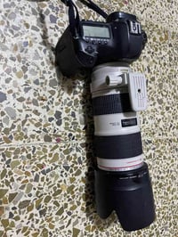 كانون 5دي مارك 3 • عدسة 70-200 f2.8 • بابل المسيب