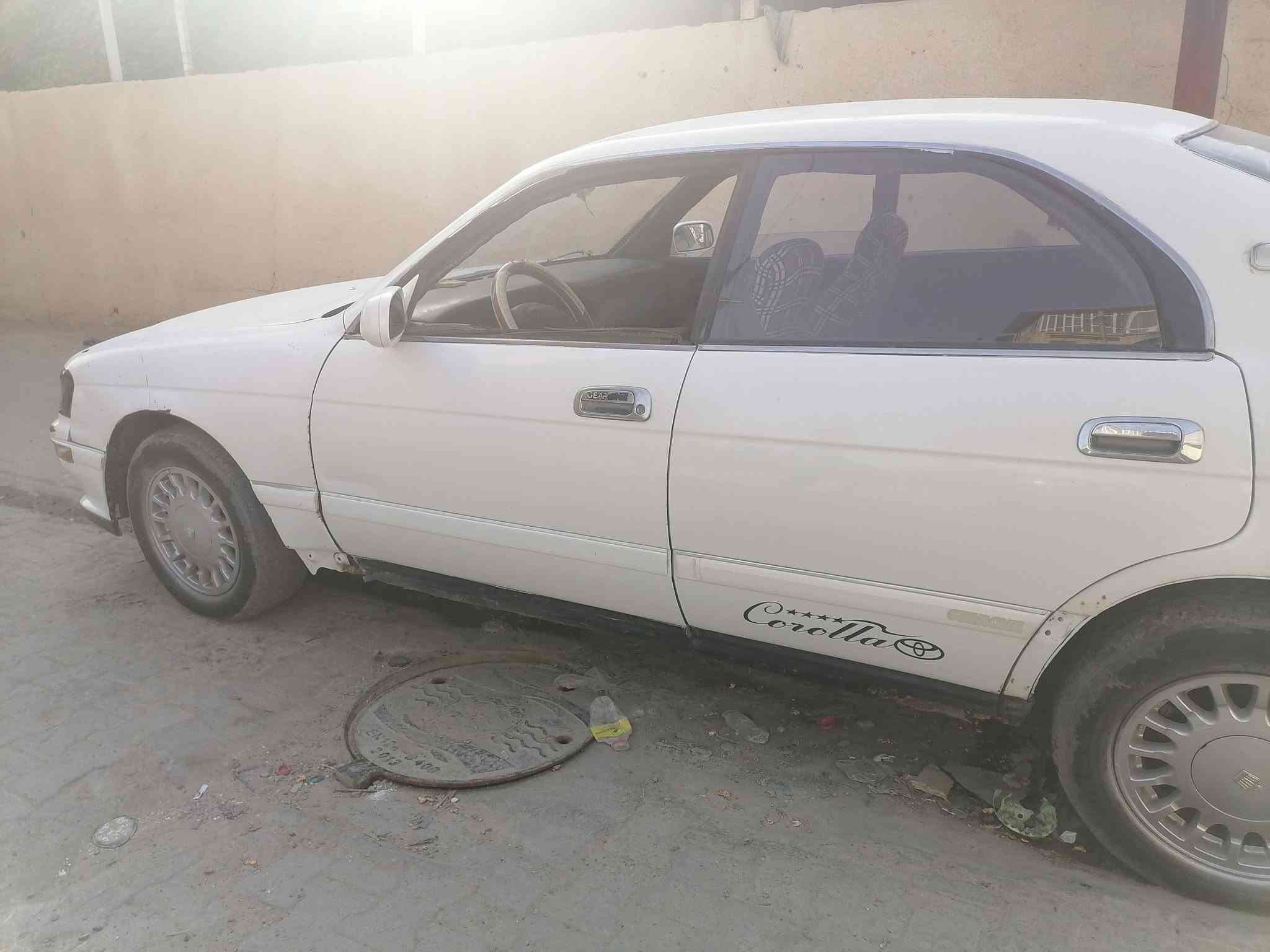 بطه فصل • رقم نجف • البصره القرنه