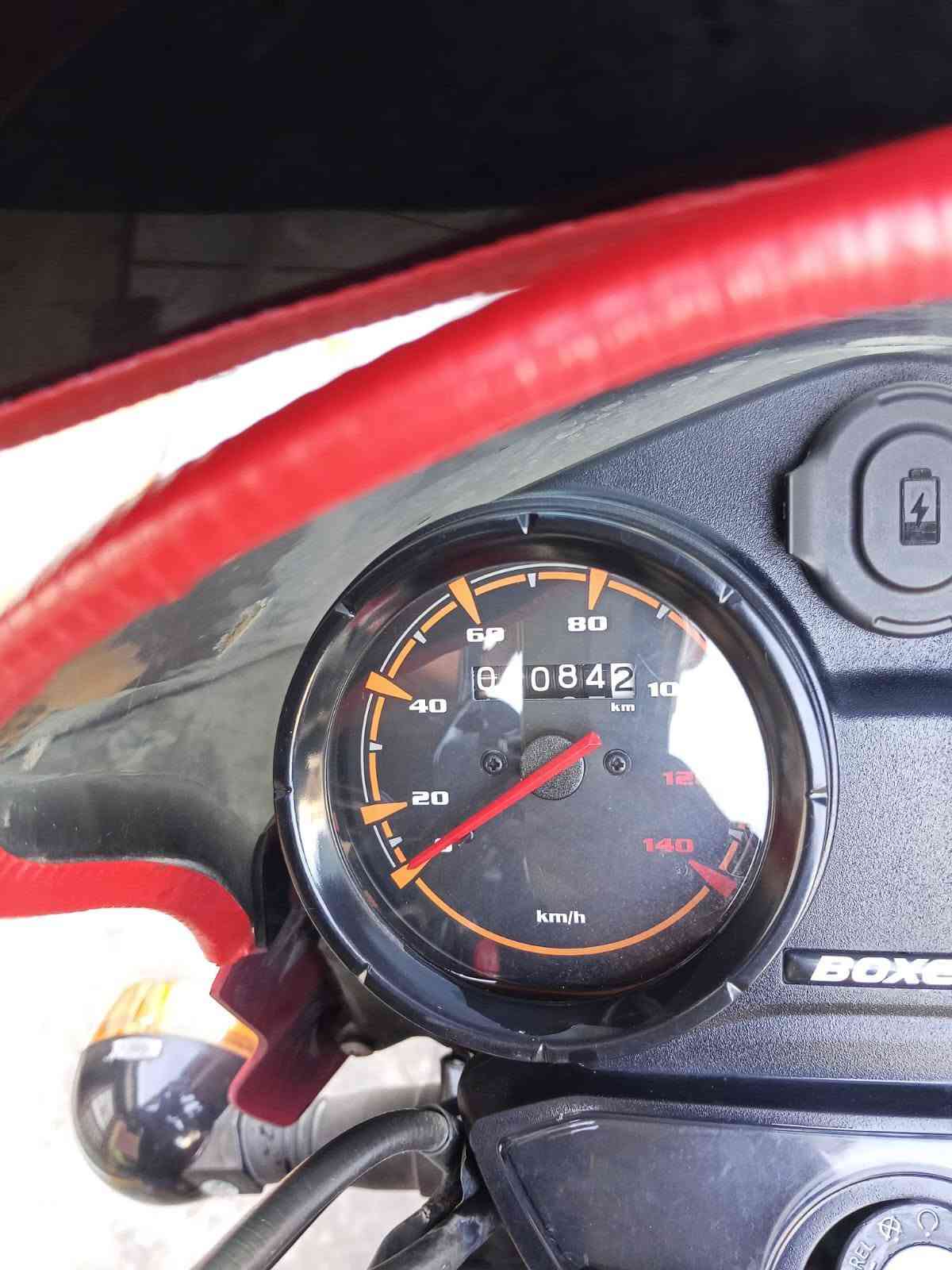 بوكسر • جبلي • اربيل