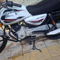 بوكسر • ٢٣ • رقم وسنوية