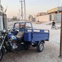 ستوته • سنوية ٢٩ • بدون نقص