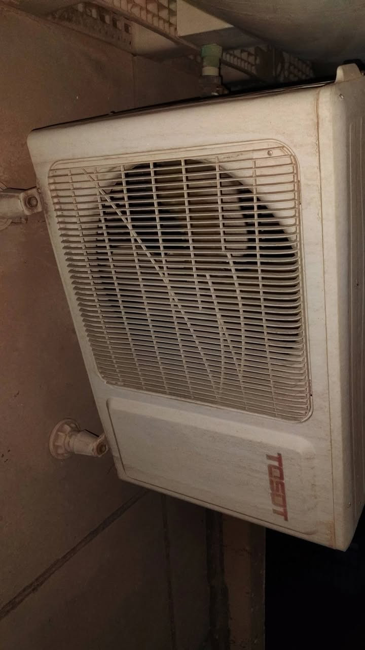 سبلت • توسوت • ١طن