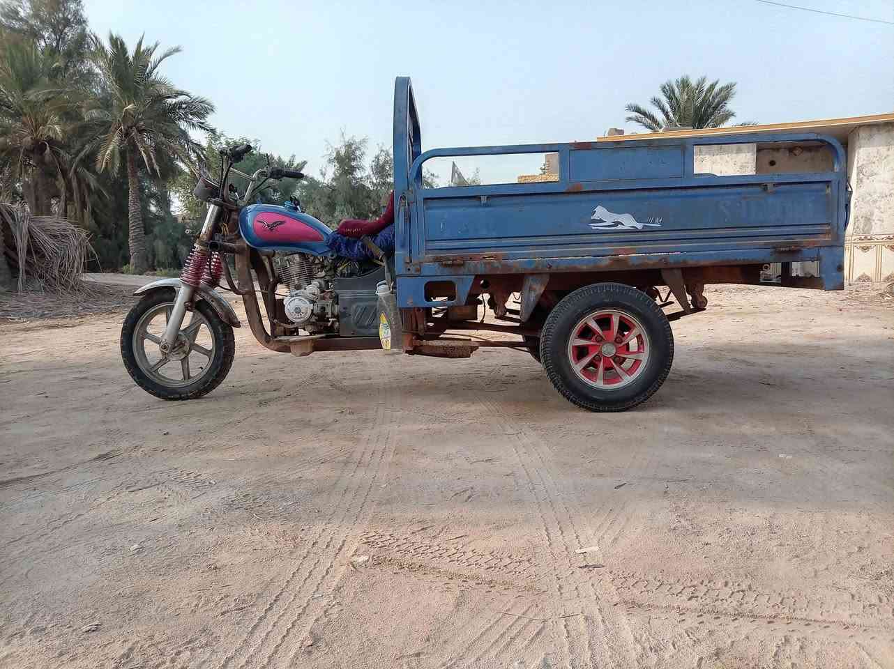 ستوته • عوزه باتري • أوراق باسم