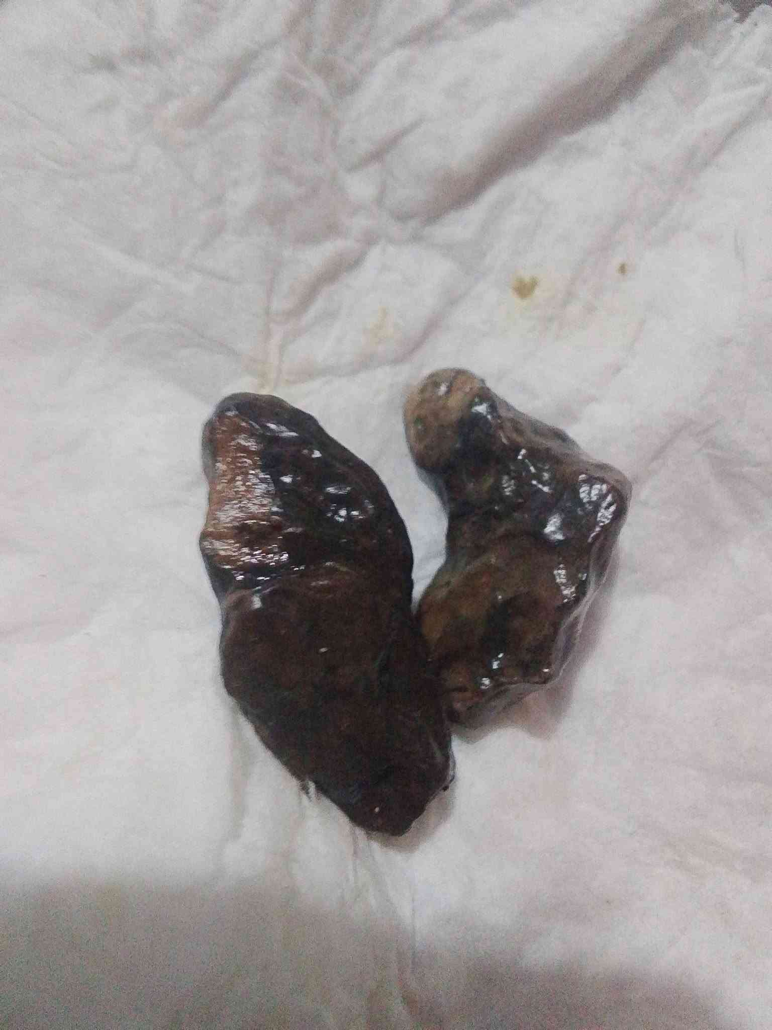 احجار لكاط • شرط شغل • للبيع