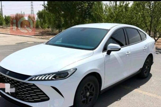 السلام عليكم 
للبيع BYD كن بلاص
داخل ابيض المرغوب كفالة عامة تحويل ثاني يوم مغلفة كشنات وارضية
ماشية 22500 الف الكلي 
السعر 19800 وبيه مجال بسيط
مكان بغداد الكرخ  ***********

