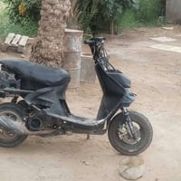 فراشة • فحل • بيستم