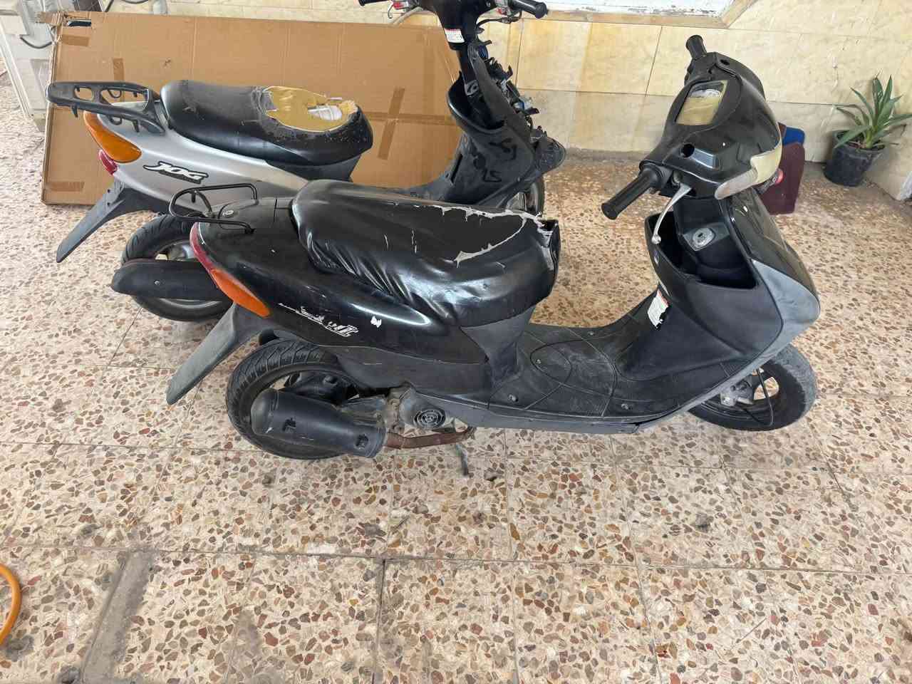 عصفوريه • ساسوكي • ٢