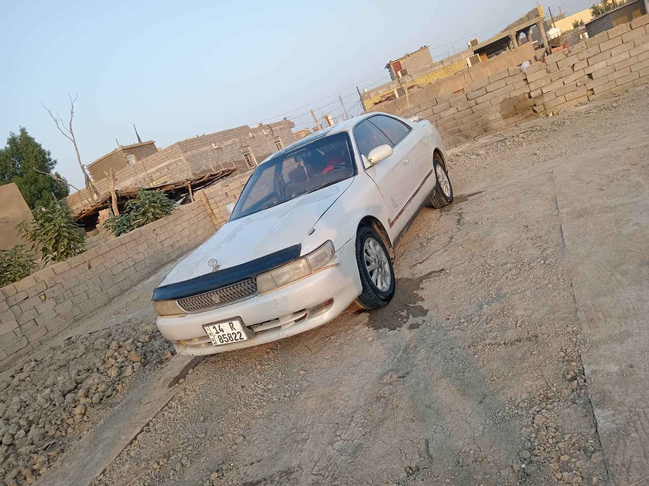 شيزر • سنويه 28 • رقم بصره