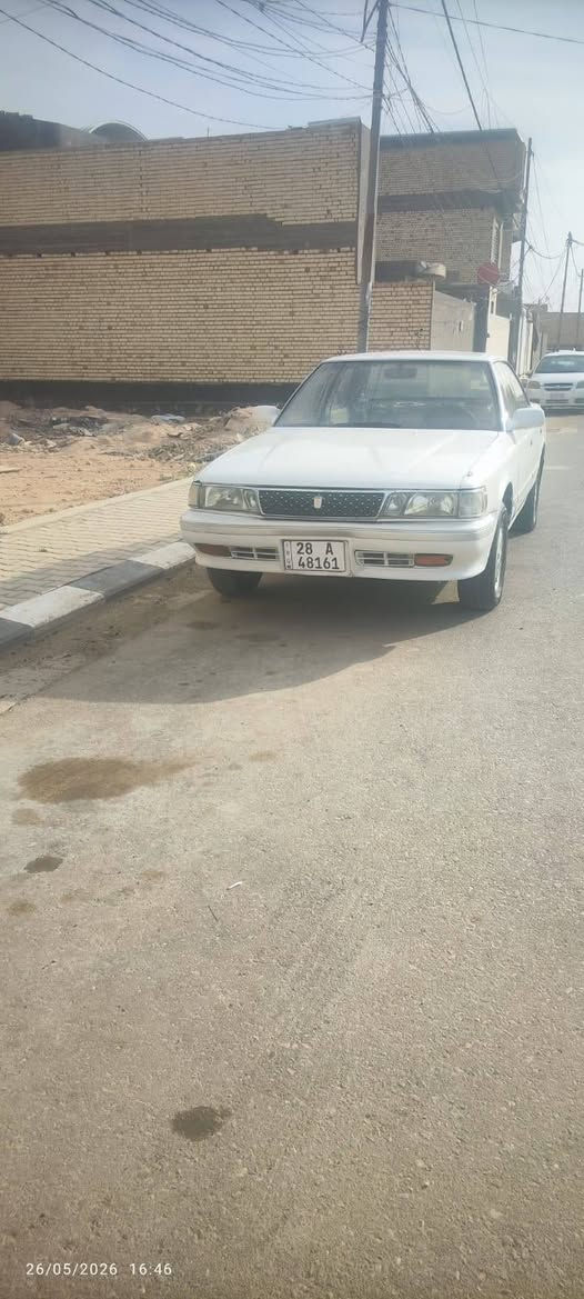 مارك كربلائي شرط كارتون اراوس بكيه بريجو مكاني النجف +9647826765275

